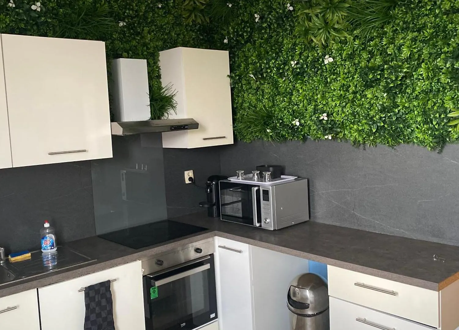 Appartement Cosy Lyon Villeurbanne France
