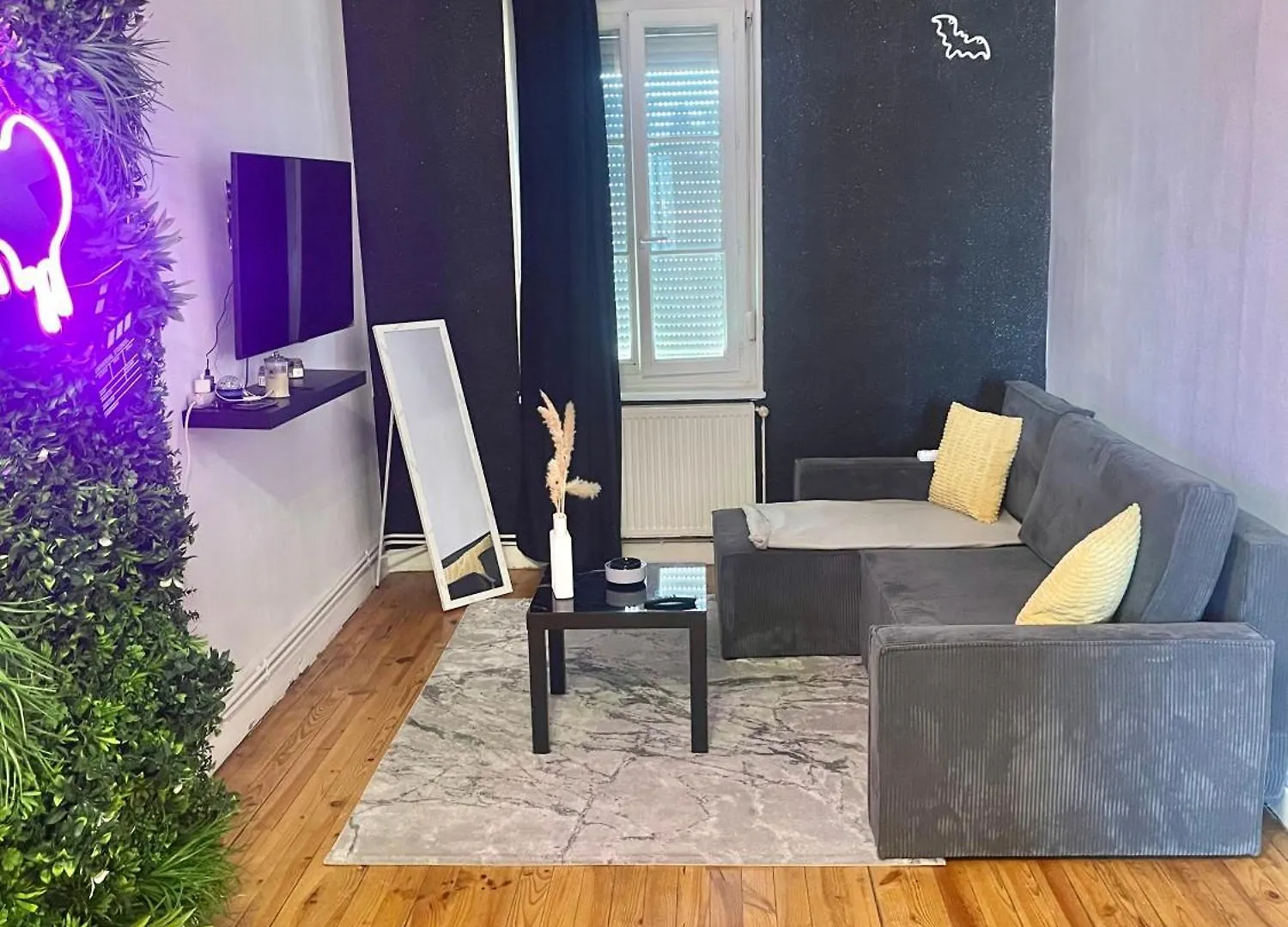 Appartement Cosy Lyon 维勒班